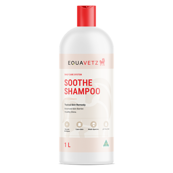 Soothe Shampoo