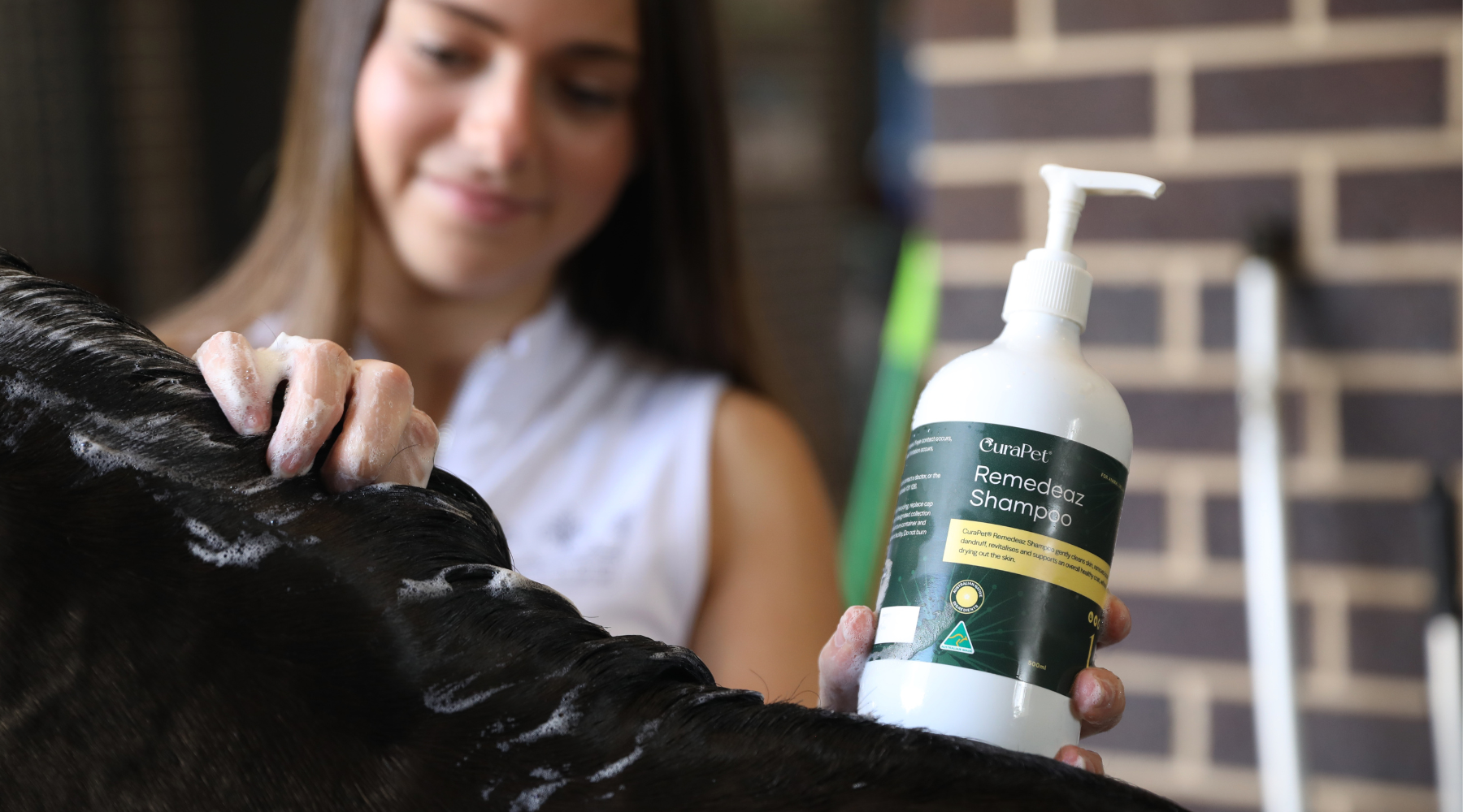 5 Reasons Why Your Pet Deserves Remedeaz