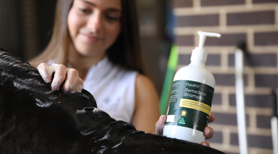 5 Reasons Why Your Pet Deserves Remedeaz