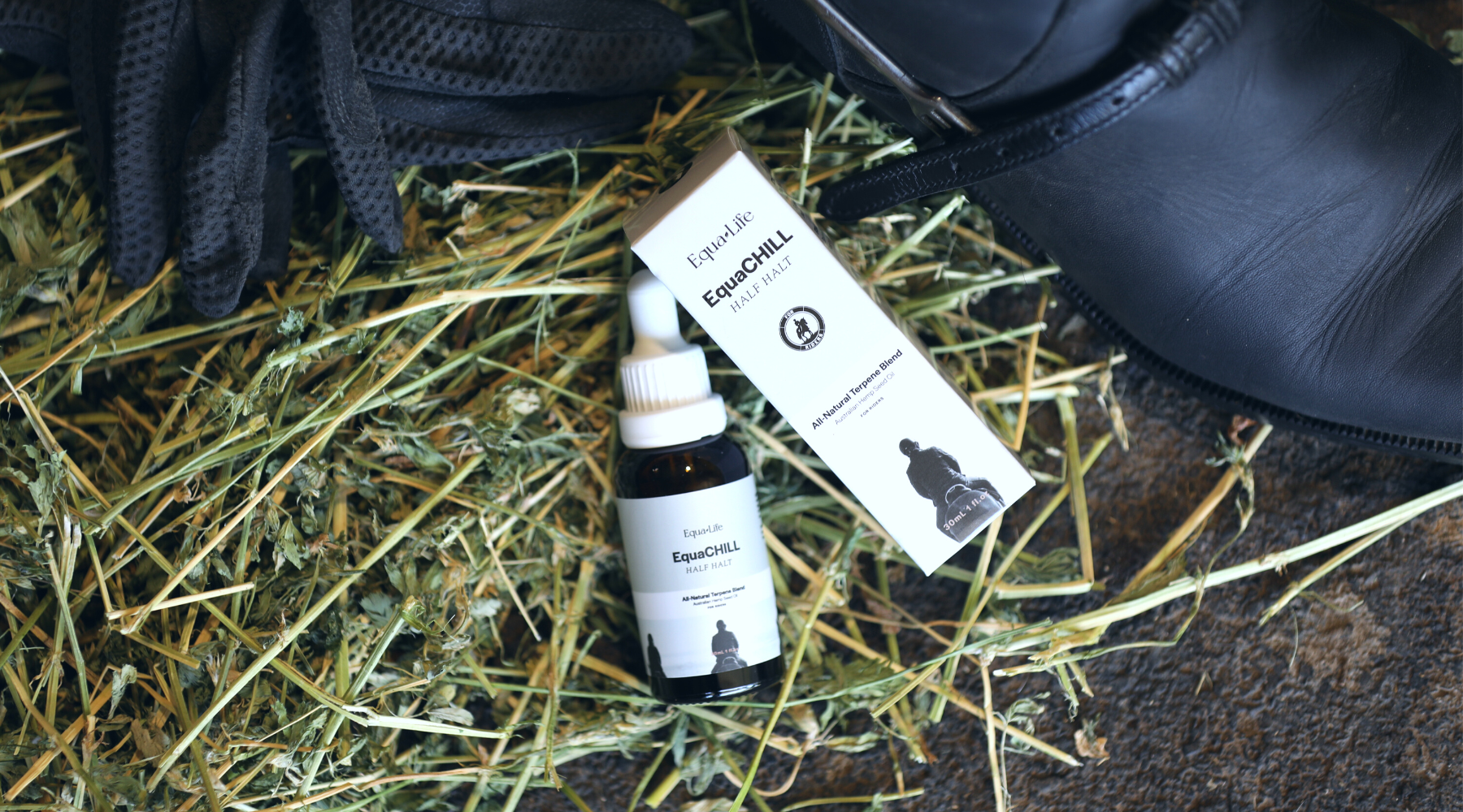 5 Ways to Your Best Rider Health