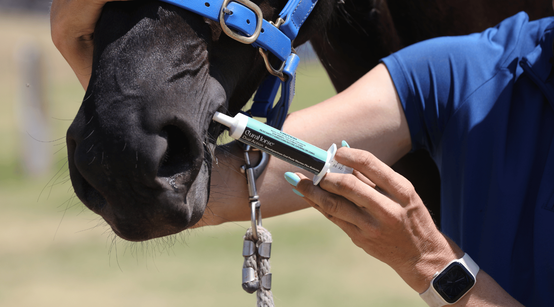 CuraHorse® Dual Action Broadspectrum Oral Paste Wormer Plus Boticide