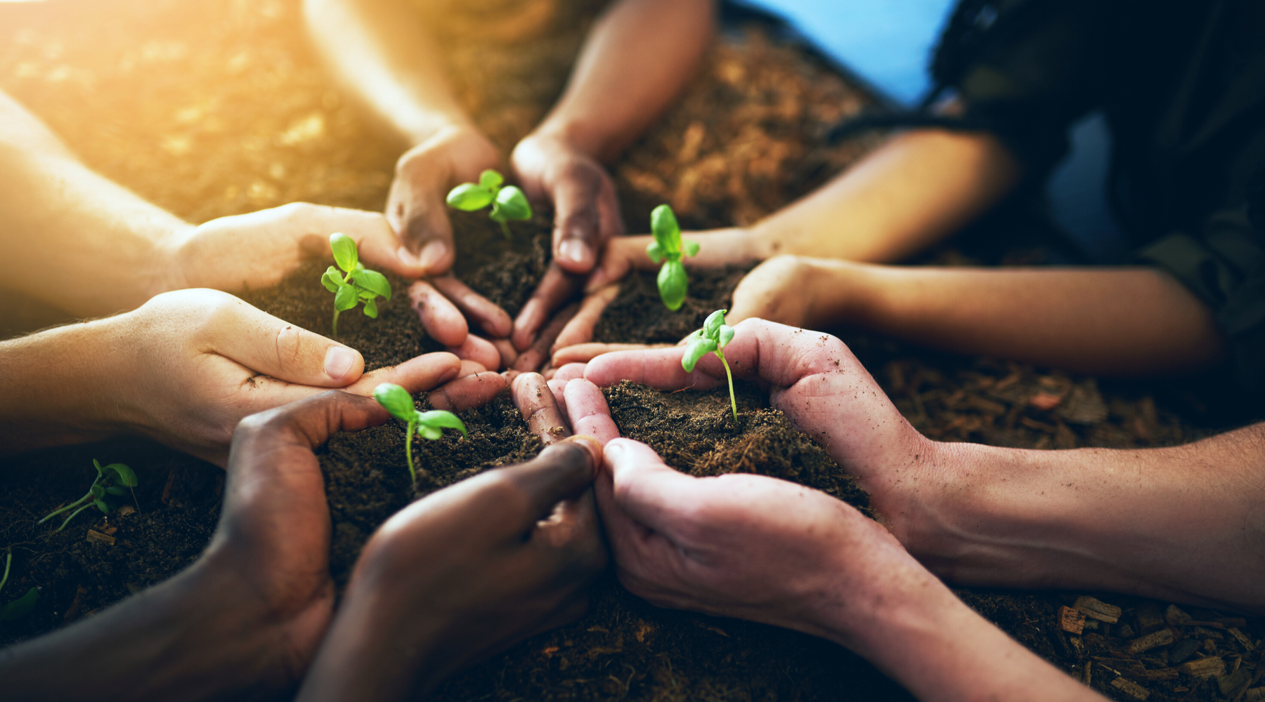 EquaCare Sustainability Commitment