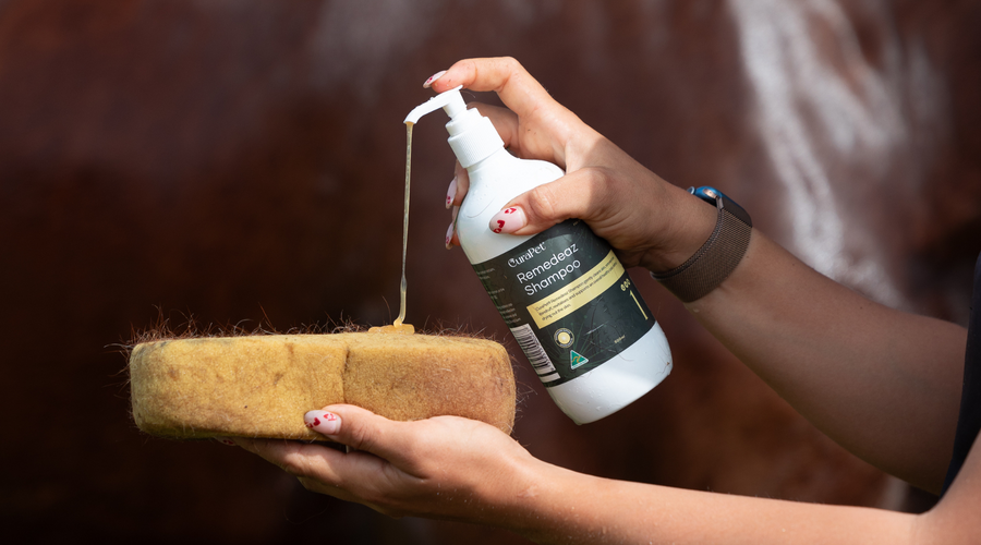 Greasy Heel and Rain Scald? Here’s How to Support Healing Beyond the Skin