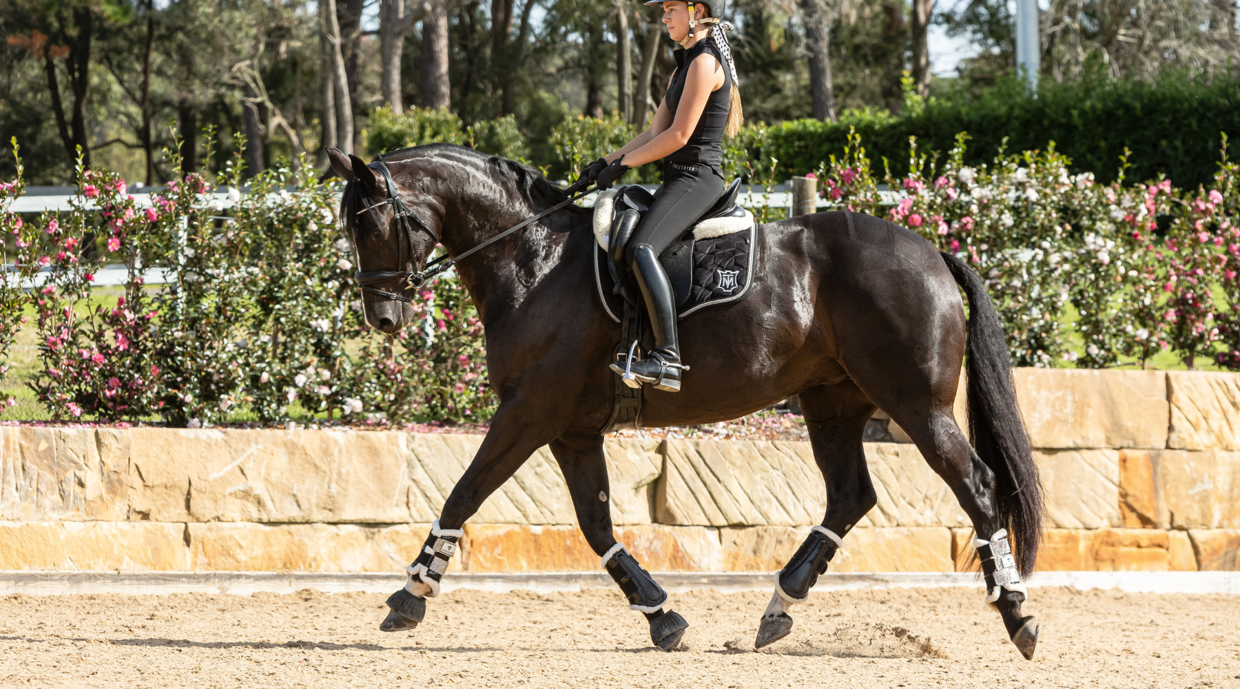 How to Build Topline in Horses: Why Protein Matters