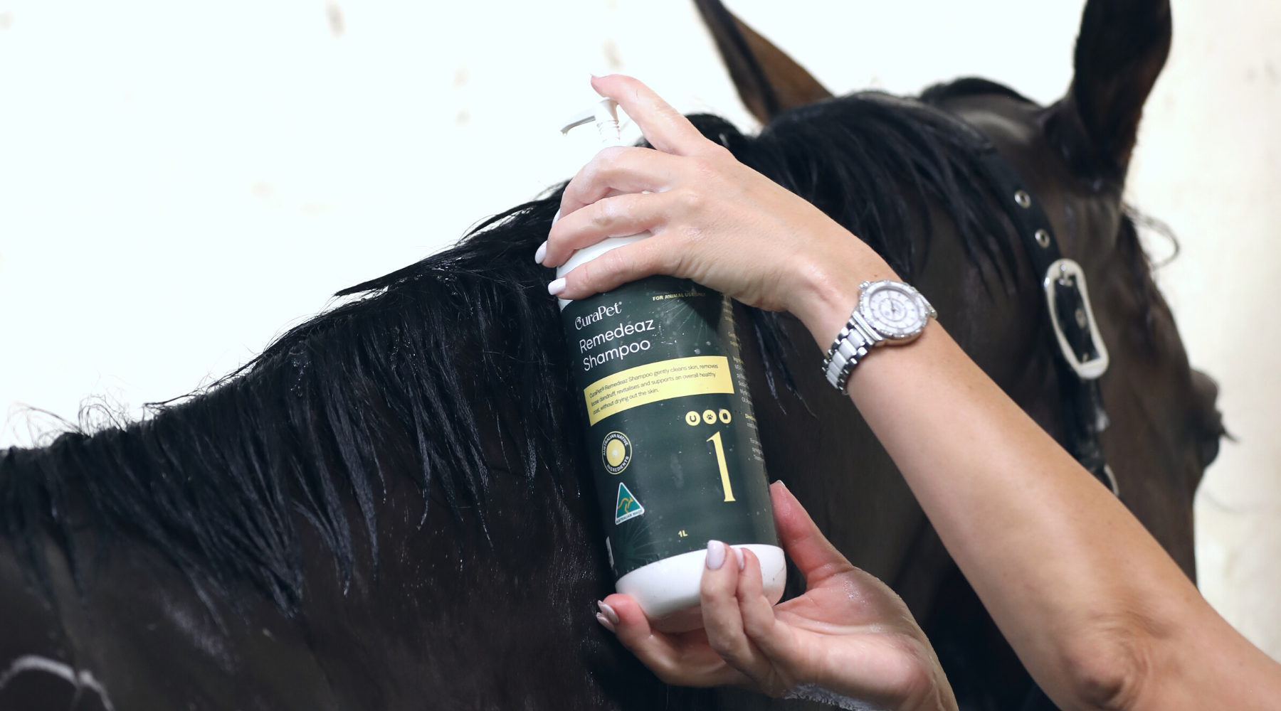 Remedeaz Shampoo Makes Bath Time Fun Again