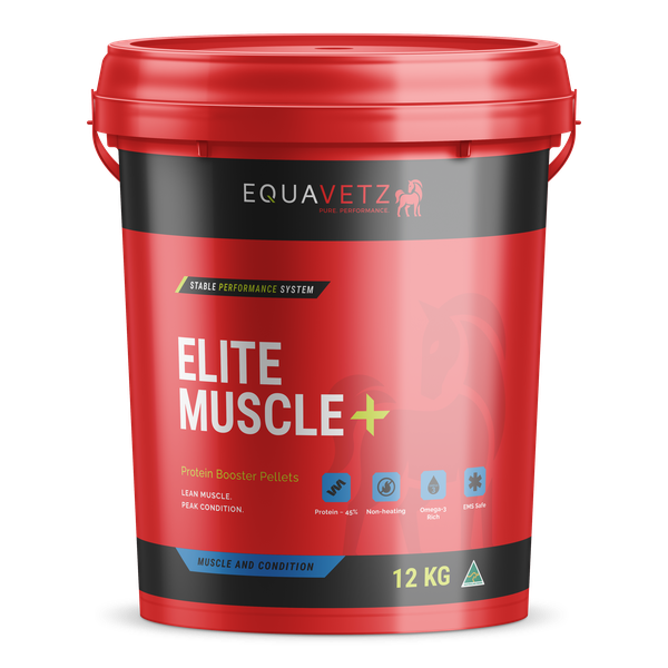 Elite Muscle+