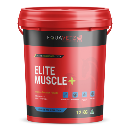 Elite Muscle+