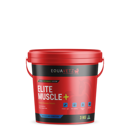 Elite Muscle+