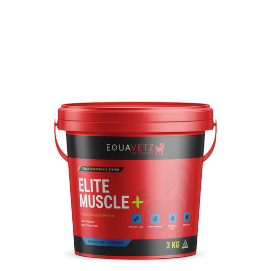Elite Muscle+