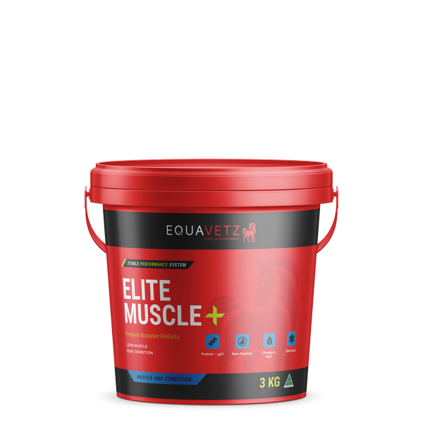 Elite Muscle+