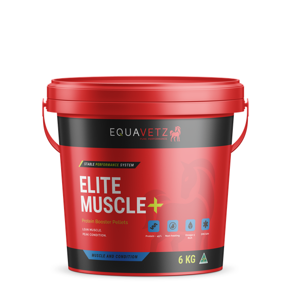 Elite Muscle+