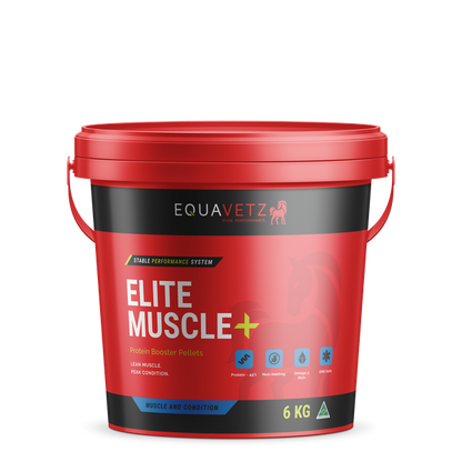 Elite Muscle+