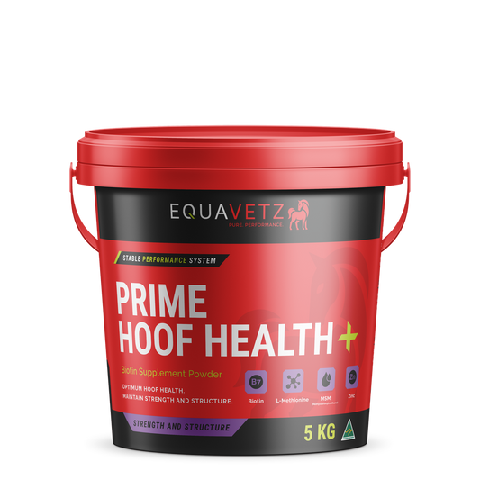 Prime Hoof Health+