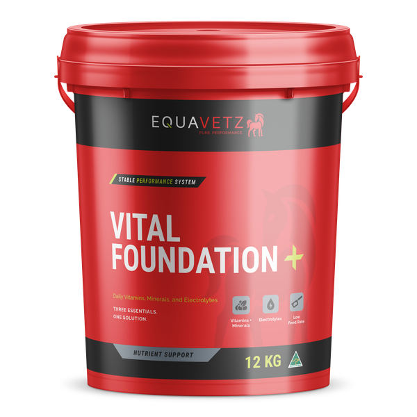 Vital Foundation+