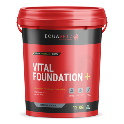 Vital Foundation+