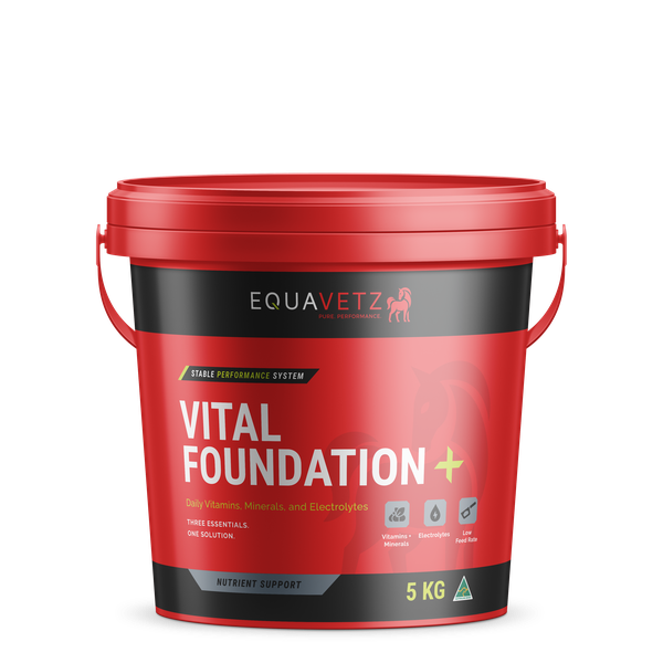 Vital Foundation+