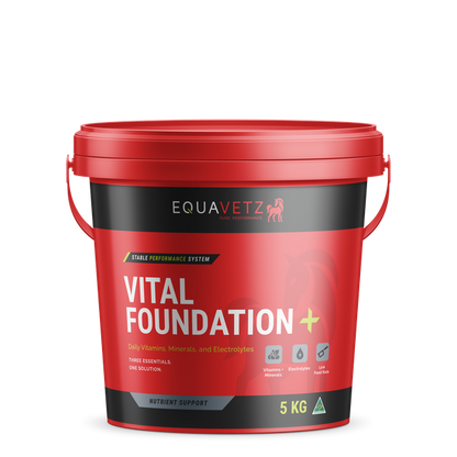 Vital Foundation+