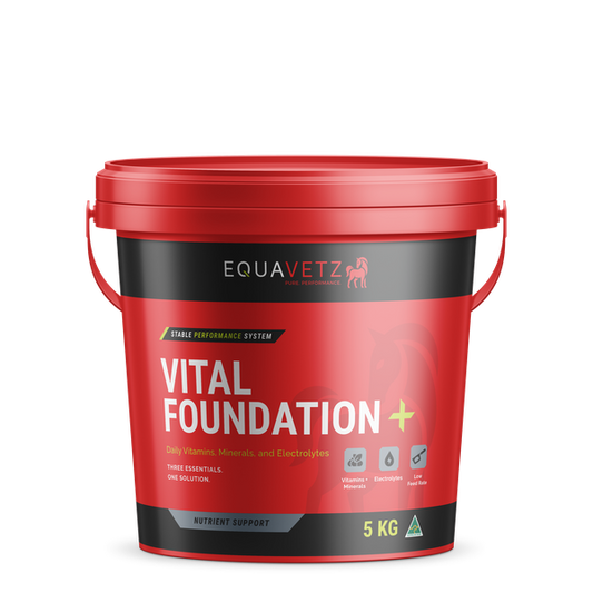Vital Foundation+