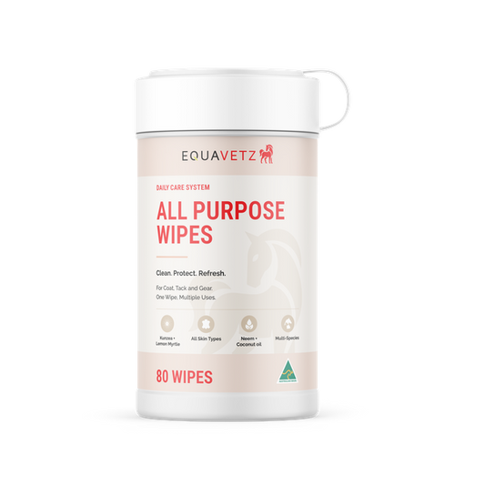 All Purpose Wipes