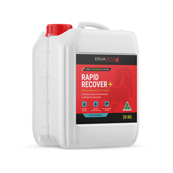 Rapid Recover+