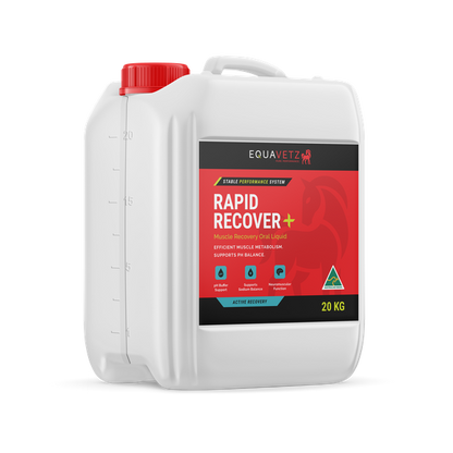 Rapid Recover+