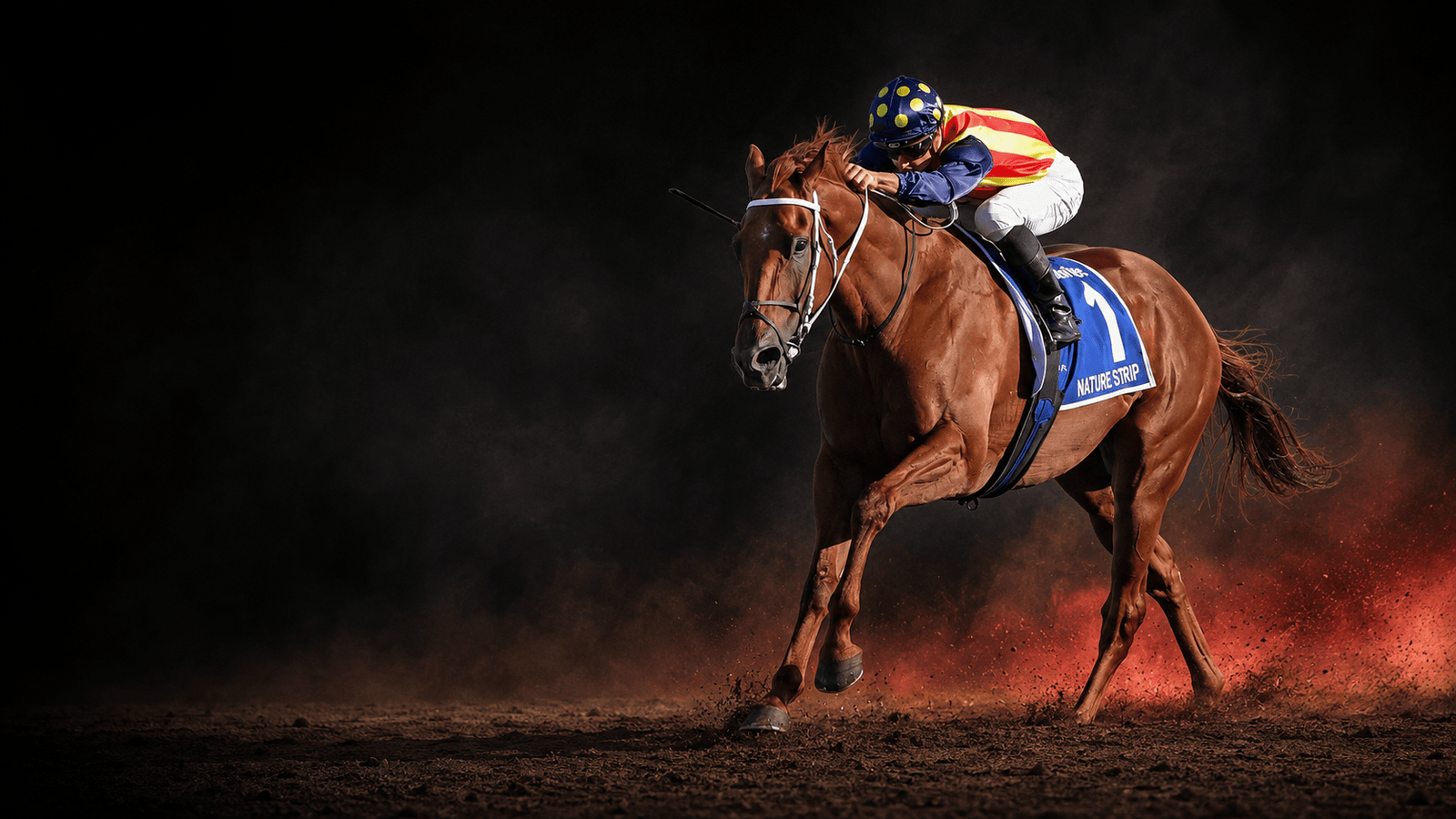 Racehorse working at dawn with its rider.