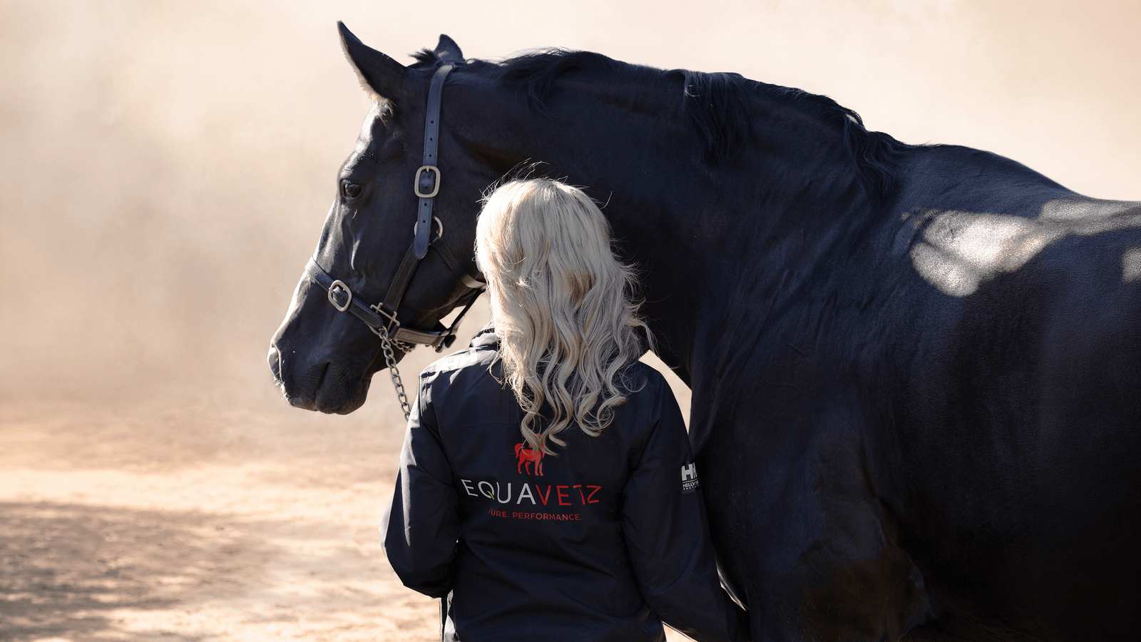 Owner grooming her horse in the stable.