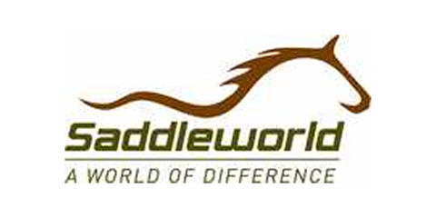 Saddleworld