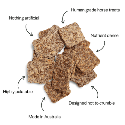 CuraHorse® All-Natural Nothing Naughty Horse Treats